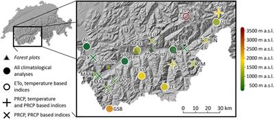 Below Average Midsummer to Early Autumn Precipitation Evolved Into the Main Driver of Sudden Scots Pine Vitality Decline in the Swiss Rhône Valley